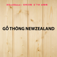 Gỗ thông Newzeland